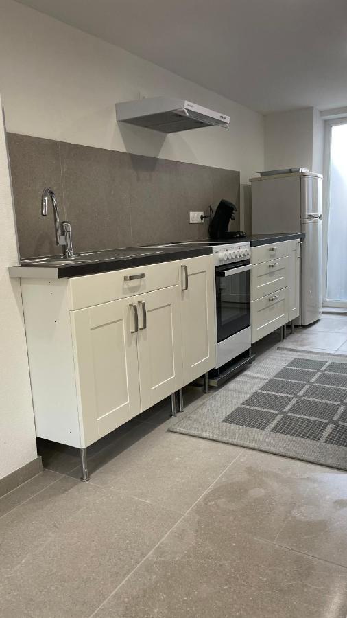 Appartement Bes,, F2 Renove Confort Avec Entree Independante ヴィッテンハイム エクステリア 写真